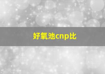 好氧池cnp比