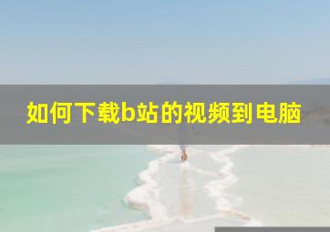 如何下载b站的视频到电脑