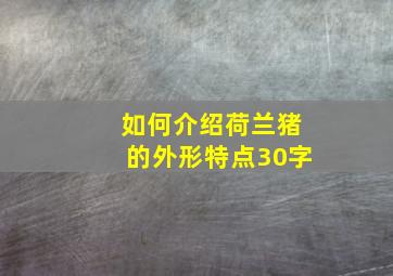 如何介绍荷兰猪的外形特点30字