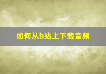 如何从b站上下载音频