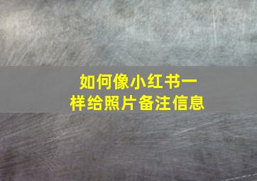 如何像小红书一样给照片备注信息