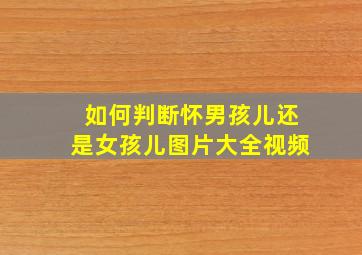 如何判断怀男孩儿还是女孩儿图片大全视频