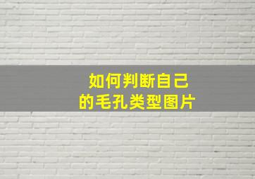 如何判断自己的毛孔类型图片