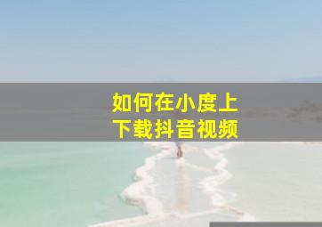 如何在小度上下载抖音视频