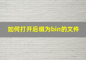 如何打开后缀为bin的文件