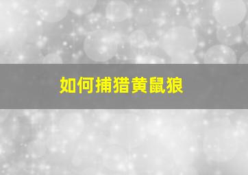 如何捕猎黄鼠狼