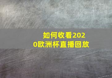 如何收看2020欧洲杯直播回放