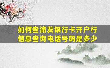 如何查浦发银行卡开户行信息查询电话号码是多少