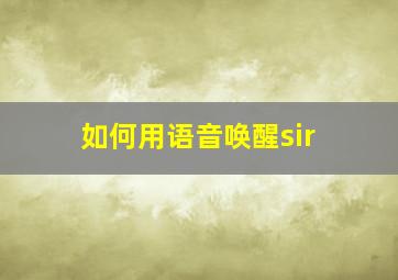 如何用语音唤醒sir