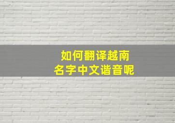 如何翻译越南名字中文谐音呢