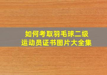 如何考取羽毛球二级运动员证书图片大全集