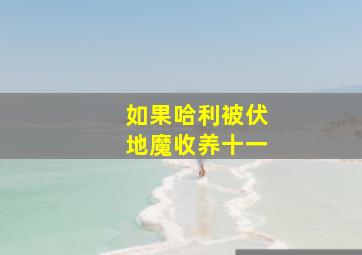 如果哈利被伏地魔收养十一