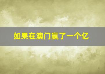 如果在澳门赢了一个亿