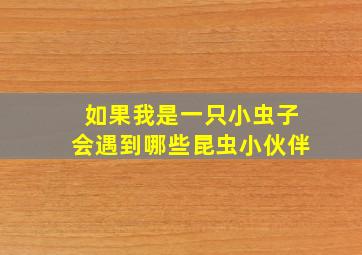 如果我是一只小虫子会遇到哪些昆虫小伙伴