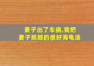 妻子出了车祸,我把妻子照顾的很好海龟汤