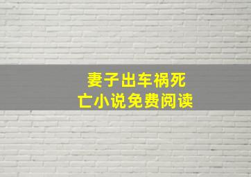 妻子出车祸死亡小说免费阅读