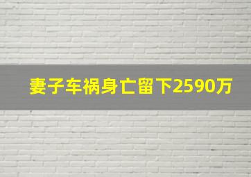 妻子车祸身亡留下2590万