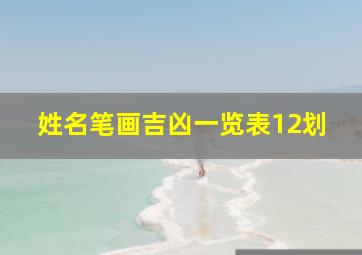 姓名笔画吉凶一览表12划