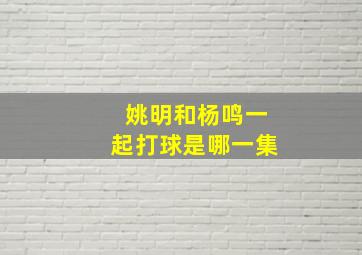 姚明和杨鸣一起打球是哪一集