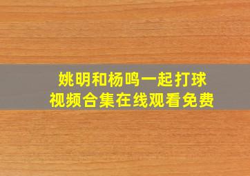 姚明和杨鸣一起打球视频合集在线观看免费