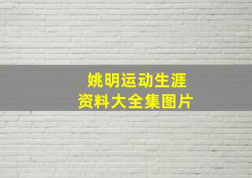 姚明运动生涯资料大全集图片