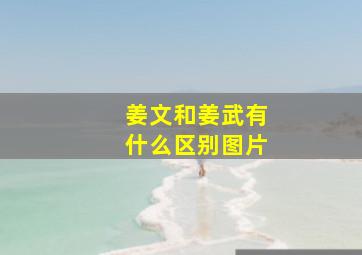 姜文和姜武有什么区别图片