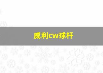 威利cw球杆