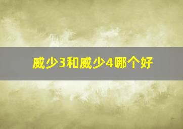 威少3和威少4哪个好