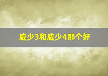 威少3和威少4那个好