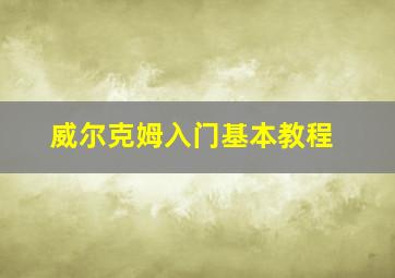 威尔克姆入门基本教程