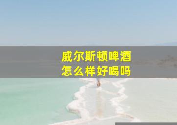 威尔斯顿啤酒怎么样好喝吗