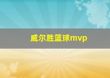 威尔胜篮球mvp