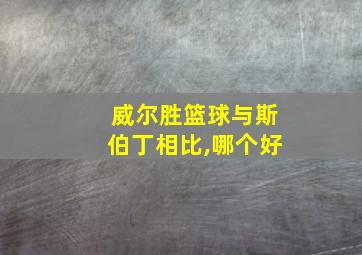 威尔胜篮球与斯伯丁相比,哪个好