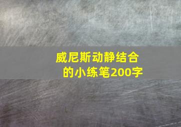 威尼斯动静结合的小练笔200字