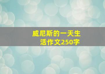 威尼斯的一天生活作文250字