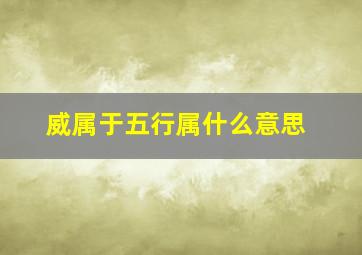 威属于五行属什么意思