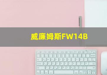 威廉姆斯FW14B