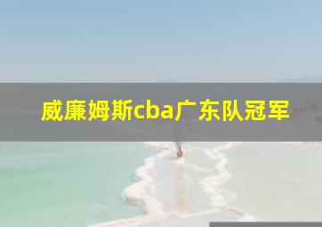 威廉姆斯cba广东队冠军