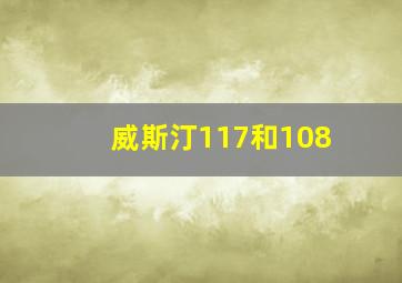 威斯汀117和108