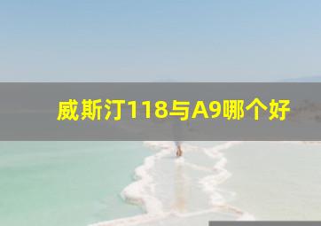 威斯汀118与A9哪个好