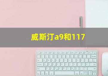 威斯汀a9和117