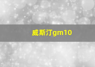 威斯汀gm10