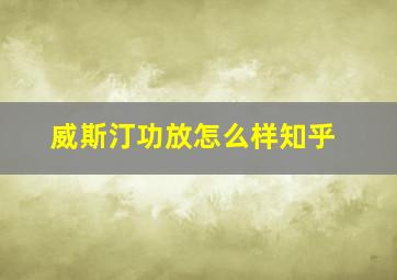 威斯汀功放怎么样知乎