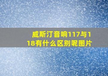 威斯汀音响117与118有什么区别呢图片