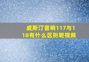 威斯汀音响117与118有什么区别呢视频