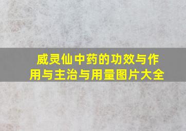 威灵仙中药的功效与作用与主治与用量图片大全