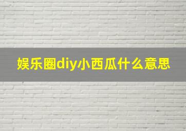 娱乐圈diy小西瓜什么意思