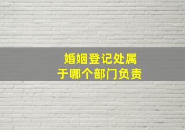 婚姻登记处属于哪个部门负责