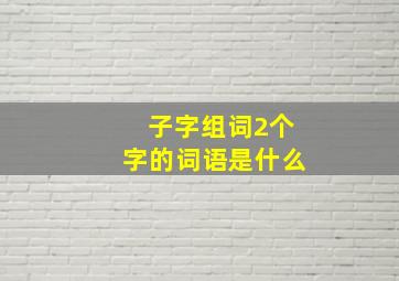 子字组词2个字的词语是什么