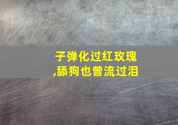 子弹化过红玫瑰,舔狗也曾流过泪